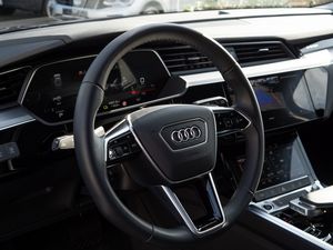 Audi e-tron advanced 55 quattro 23 navigation