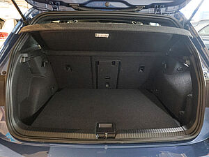 Volkswagen Golf VIII EDITION 50 1.5 eTSI 32 navigation