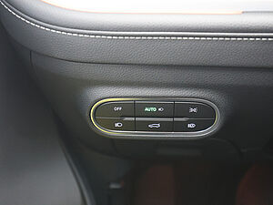 Smart #1 Premium 66kWh 32 navigation