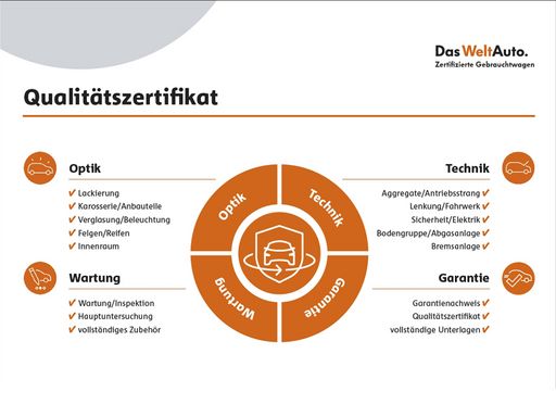 Volkswagen Tiguan Active 2.0 TDI DSG AHK Abstandstemp. L 12