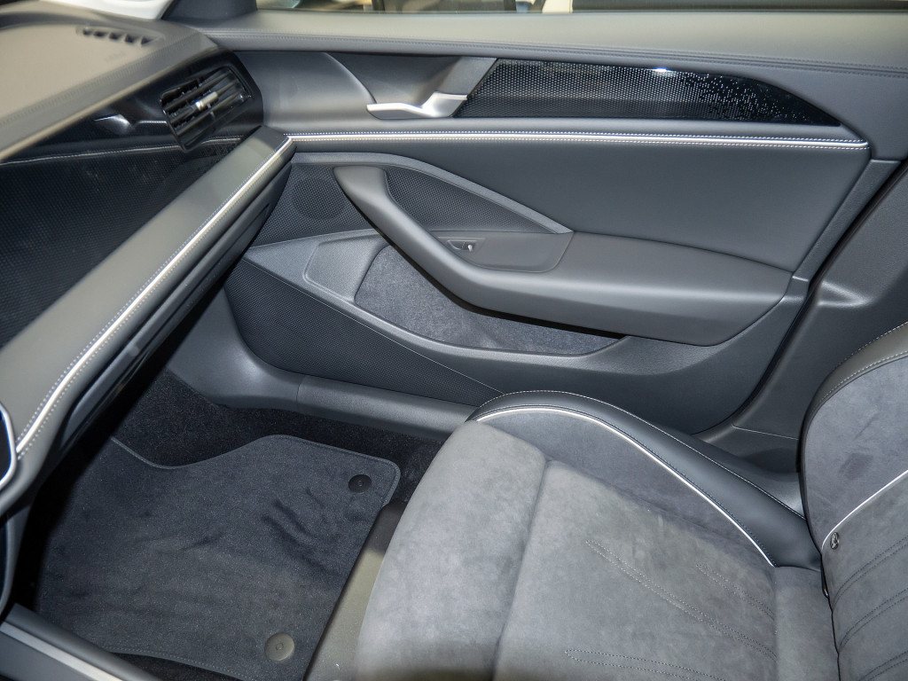 Bild 15 - Passat Business eTSI DSG
