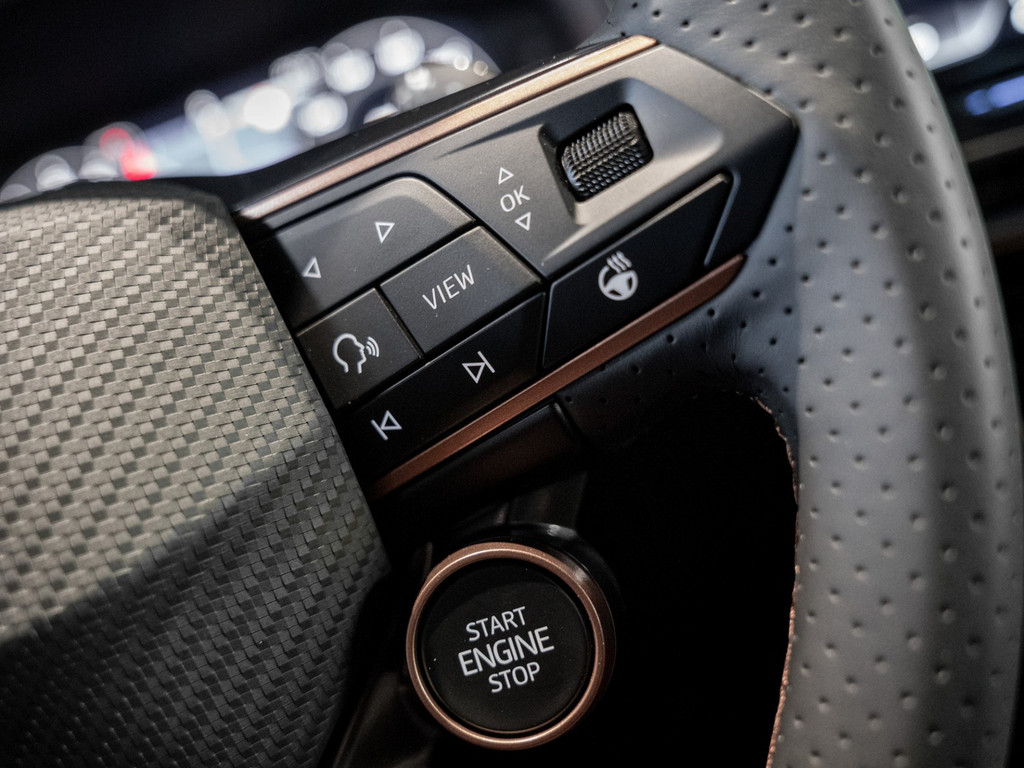 Bild 27 - Formentor VZ 2.0 TSI 265 PS AHK, Kamera, SHZ