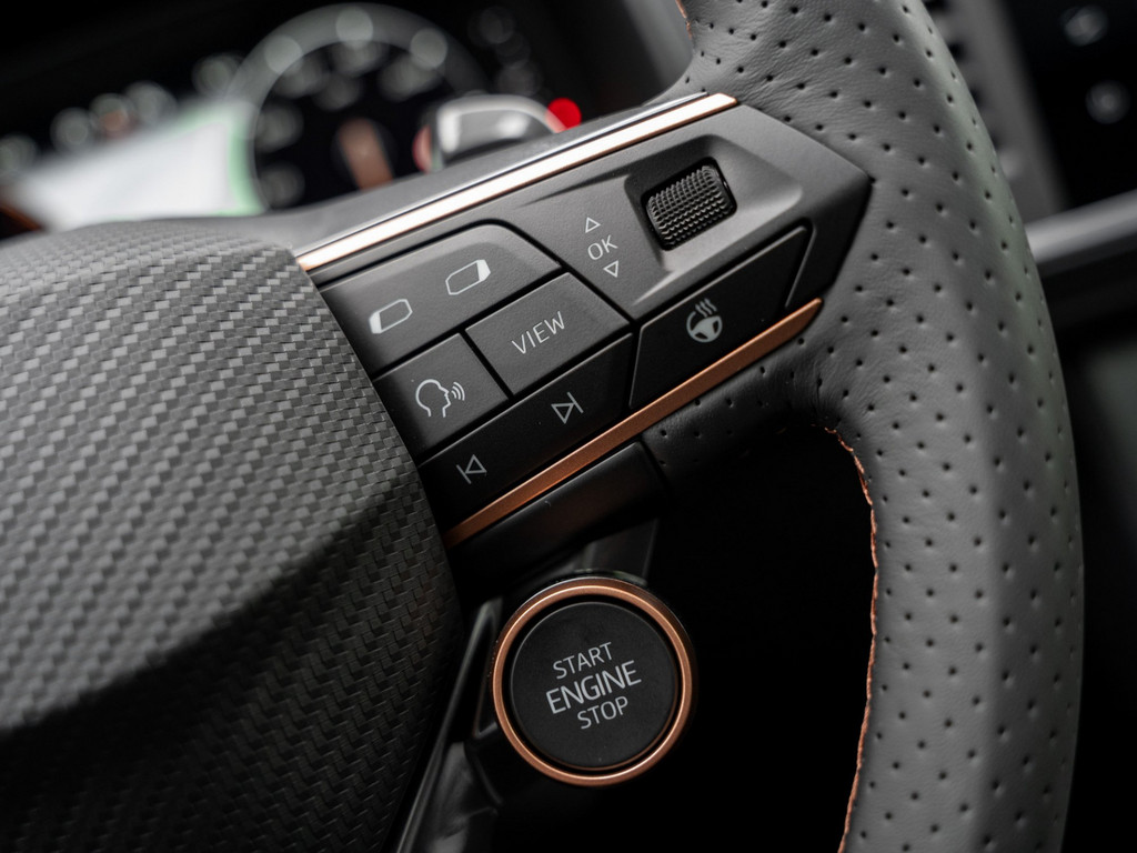 Bild 25 - Ateca 2.0 4Drive Tribe Edition AHK, 360 -Kamera
