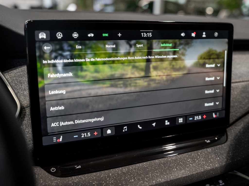 Bild 19 - Octavia Combi Balance 1.5 TSI DSG AHK Navi