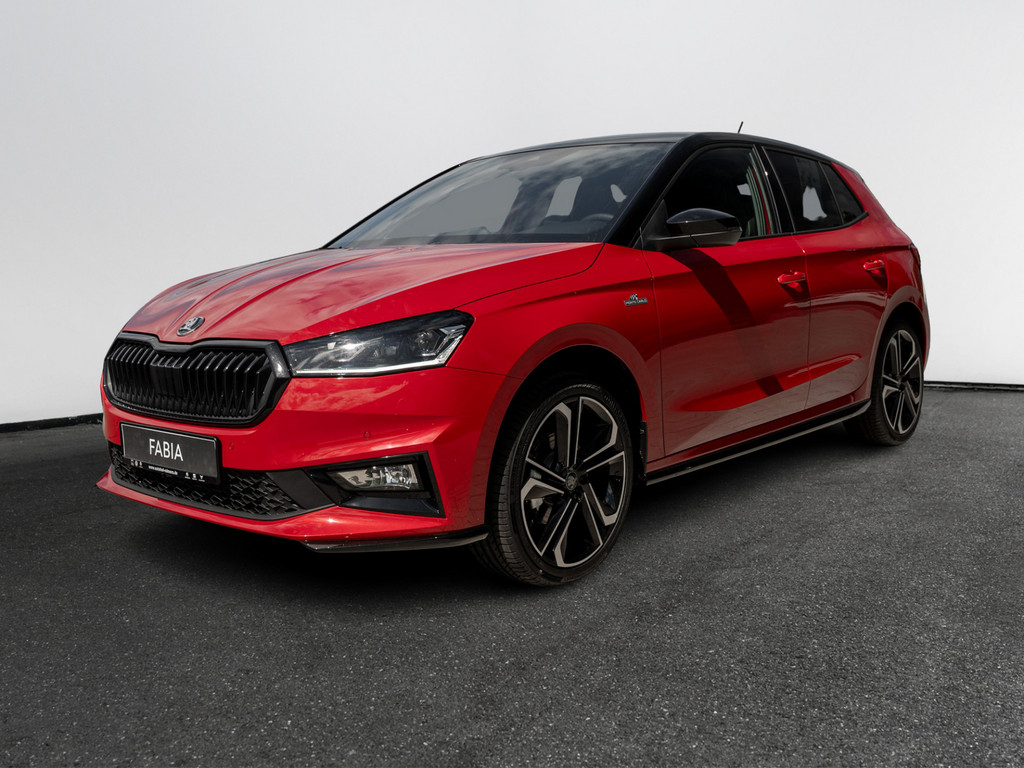 Bild 3 - Fabia Monte Carlo 1.0 TSI DSG Kam. Navi Virtual