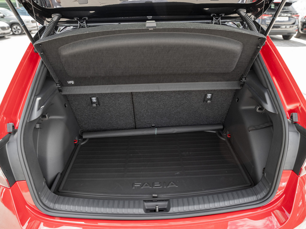 Bild 25 - Fabia Monte Carlo 1.0 TSI DSG Kam. Navi Virtual