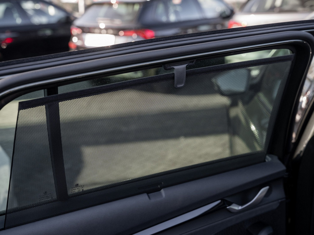 Bild 16 - Octavia Combi RS 2.0 TSI DSG AHK Navi Pano 360 LM