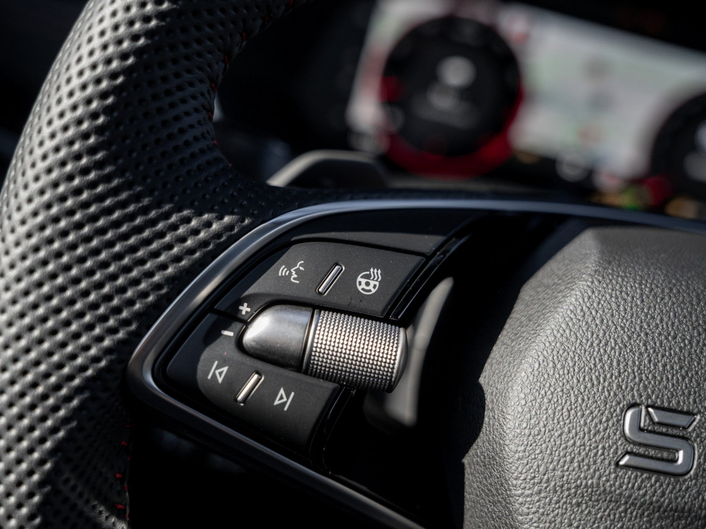 Bild 28 - Octavia Combi RS 2.0 TSI DSG AHK Navi Pano 360 LM