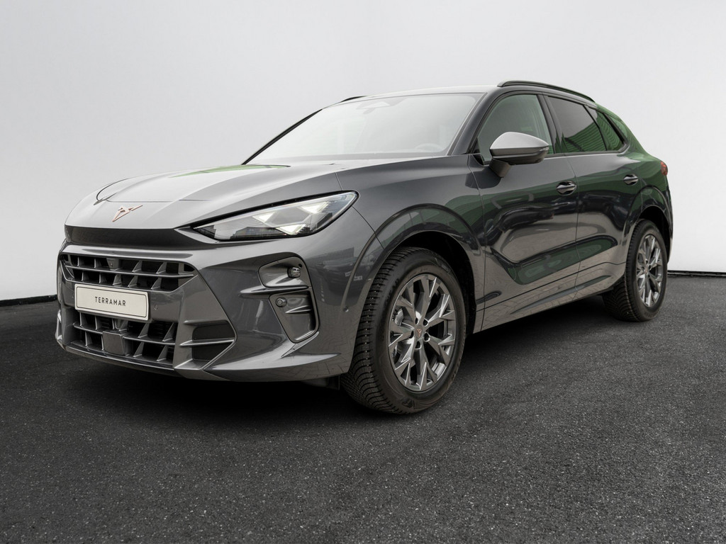 Bild 2 - Terramar 2.0 TSI 4Drive AHK, Kam., ACC