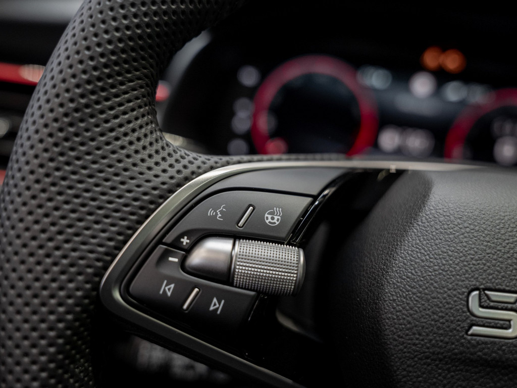 Bild 30 - Kamiq Monte Carlo 1.0 TSI Pano AHK Kam. Navi ACC