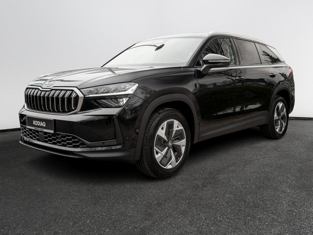 Bild 3 - Kodiaq Selection 2.0 TDI DSG 4x4 DCC AHK Leder