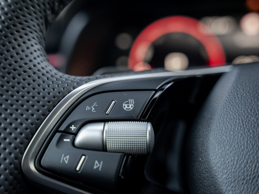 Bild 28 - Kamiq Monte Carlo 1.0 TSI Pano AHK Kam. Navi ACC