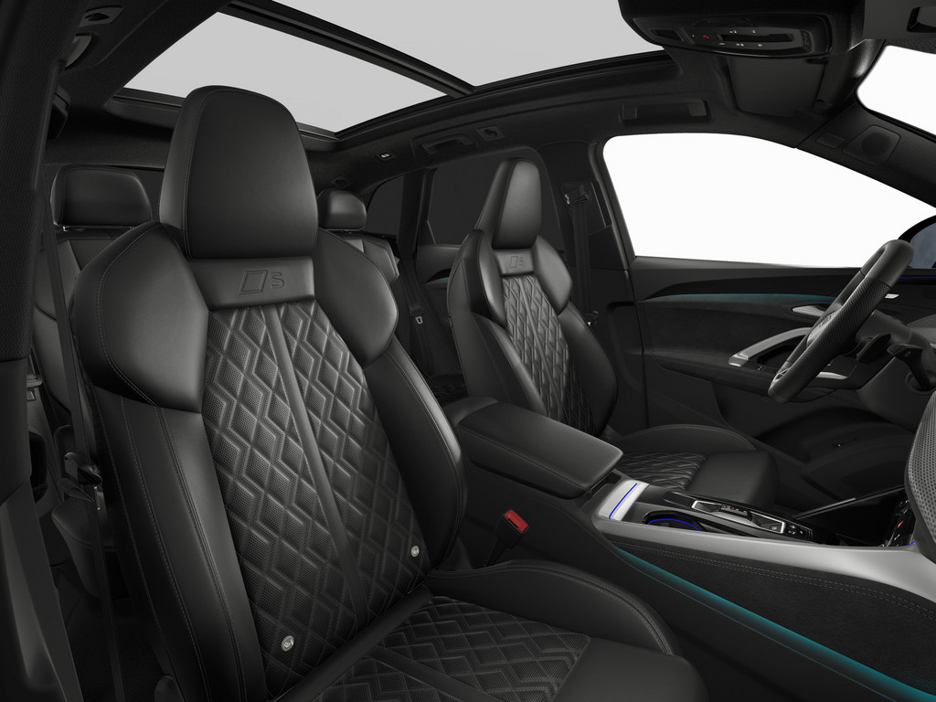 Bild 4 - SQ5 SUV TFSI quattro S tronic AHK Pano S Line Tech pro