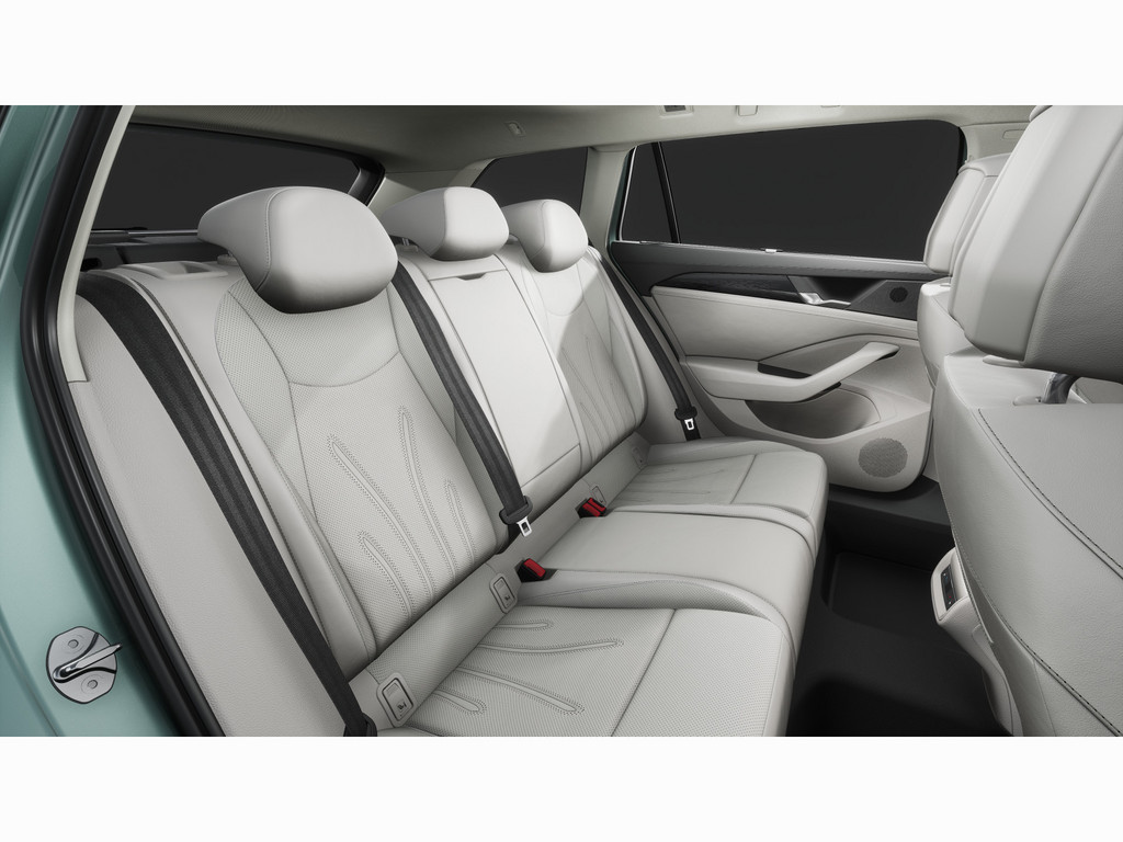Bild 13 - Passat Elegance 2,0 l TDI DSG