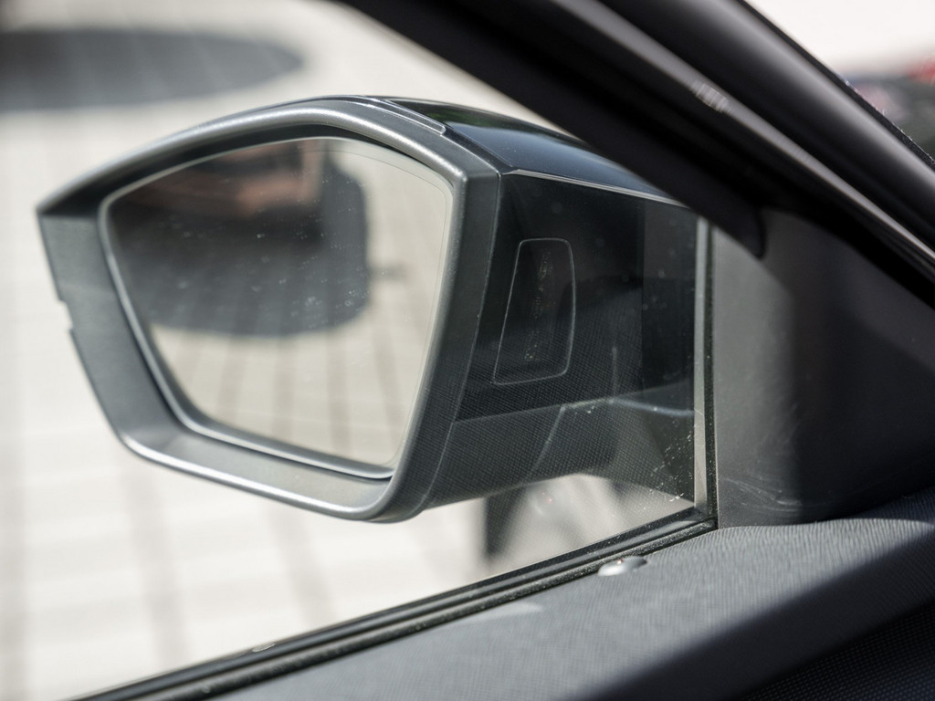 Bild 29 - OCTAVIA C. RS 2.0 TDI DSG AHK Kam. Navi Pano HUD