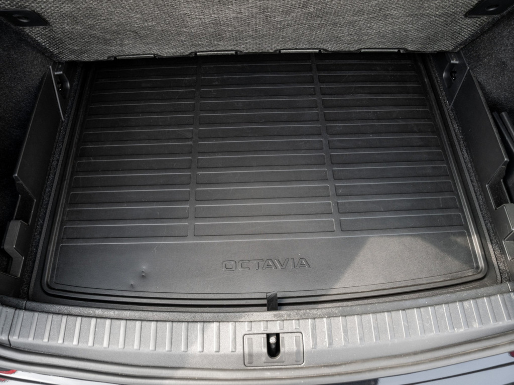 Bild 32 - OCTAVIA C. RS 2.0 TDI DSG AHK Kam. Navi Pano HUD