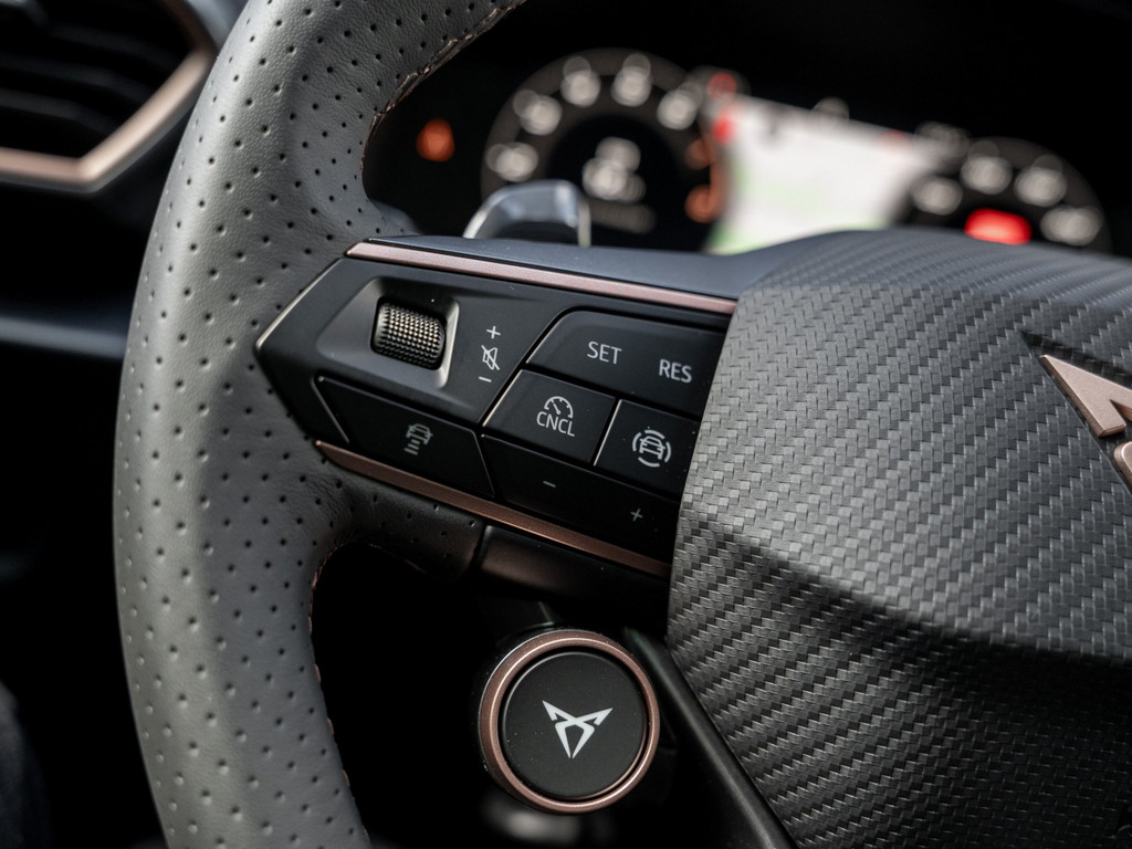 Bild 27 - Formentor 2.0 TSI VZ W DCC AHK Kam. Navi Pano LM