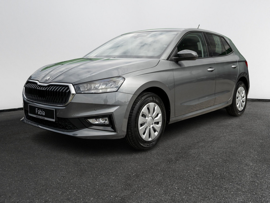 Bild 3 - Fabia Selection 1.0 TSI Kam. KlimaA SHZ