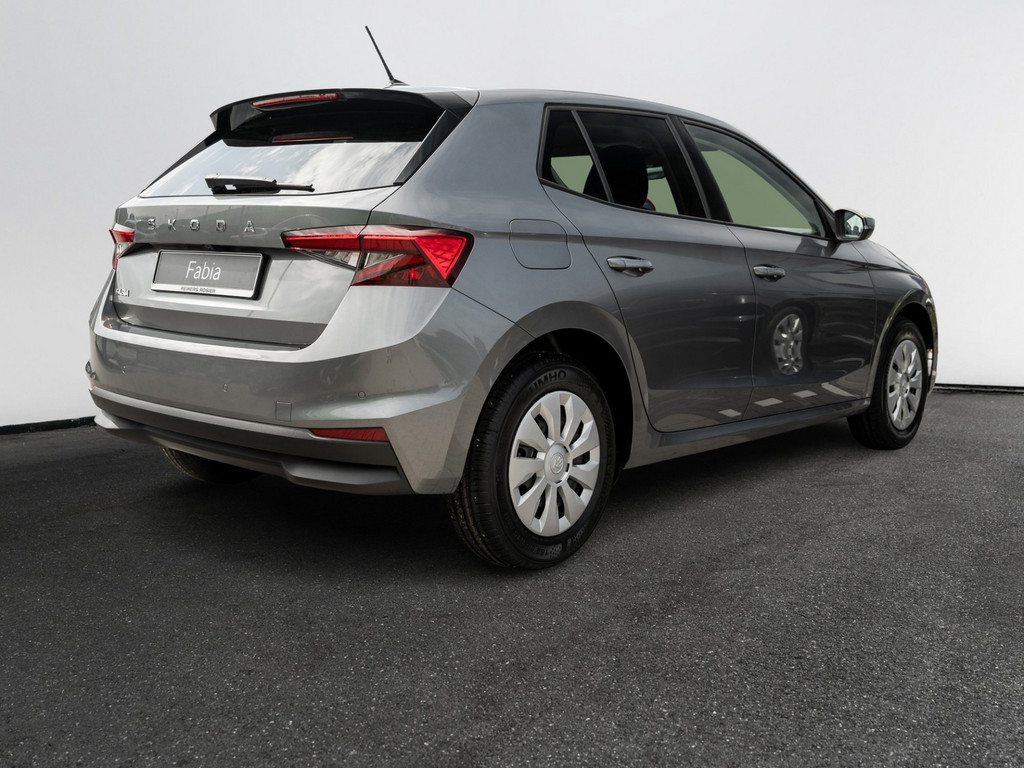 Bild 6 - Fabia Selection 1.0 TSI Kam. KlimaA SHZ