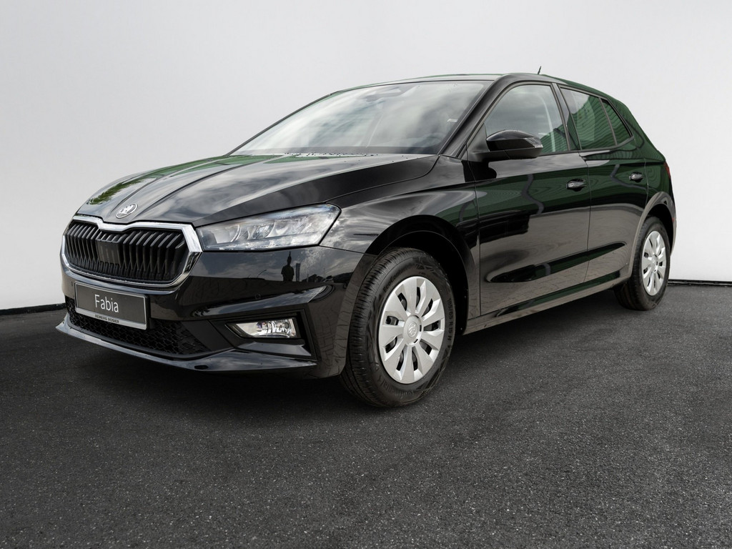 Bild 3 - Fabia Selection 1.0 TSI