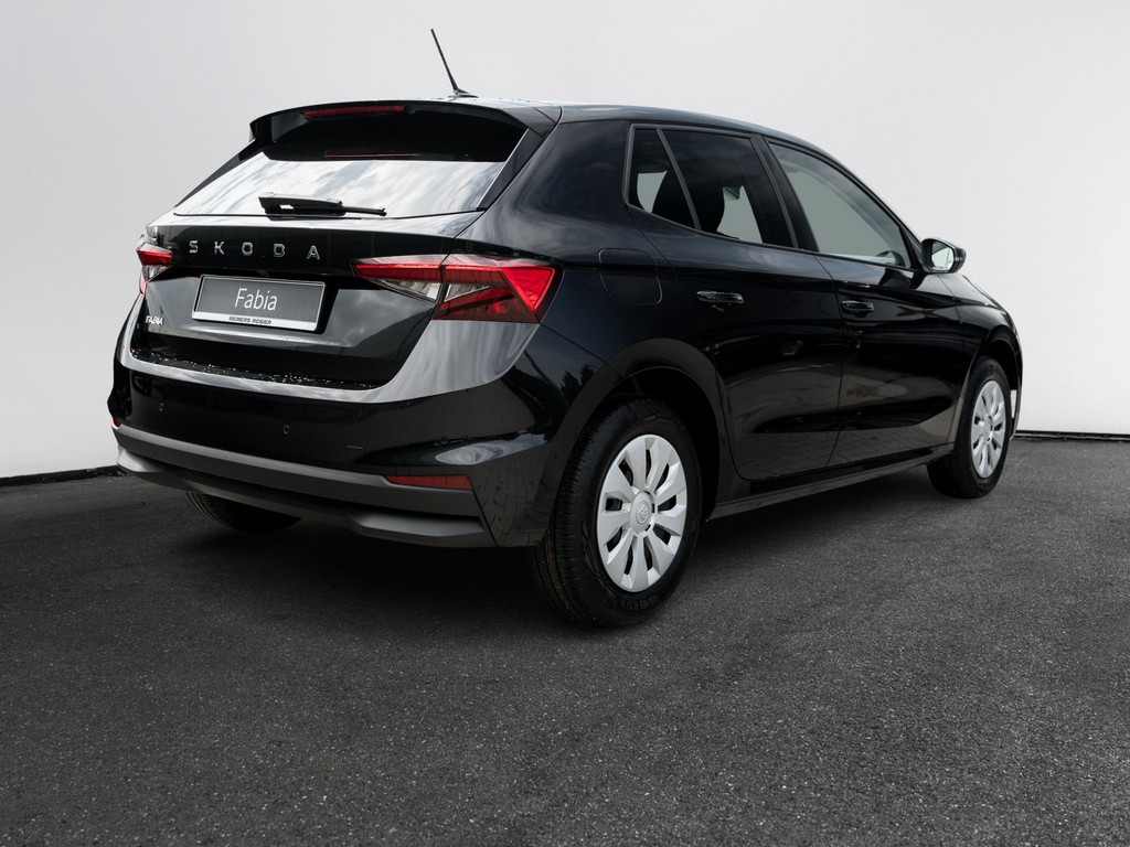 Bild 6 - Fabia Selection 1.0 TSI