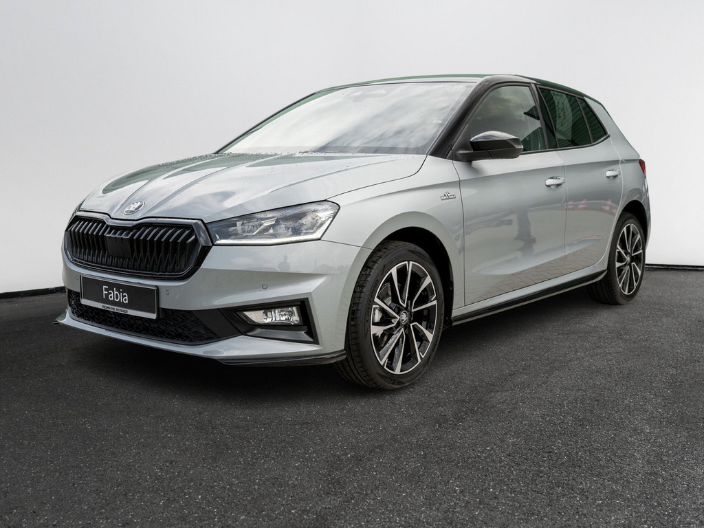 Bild 3 - Fabia Monte Carlo 1.5 TSI DSG Navi Virtual ACC