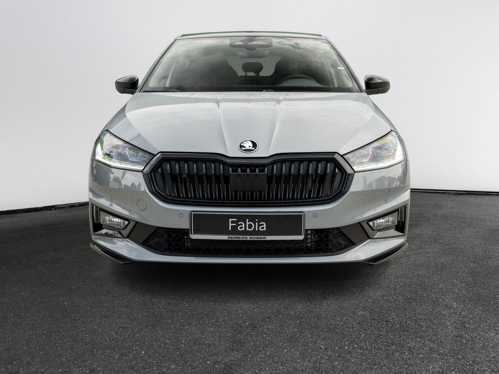 Bild 4 - Fabia Monte Carlo 1.5 TSI DSG Navi Virtual ACC