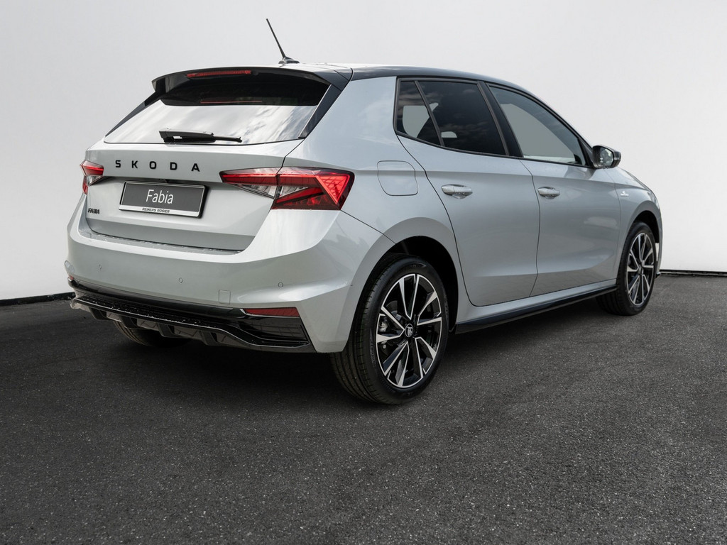 Bild 6 - Fabia Monte Carlo 1.5 TSI DSG Navi Virtual ACC