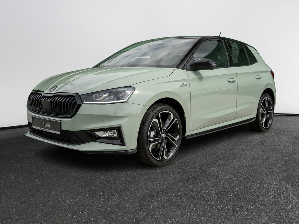 Bild 3 - Fabia Monte Carlo 1.5 TSI DSG Navi Virtual ACC