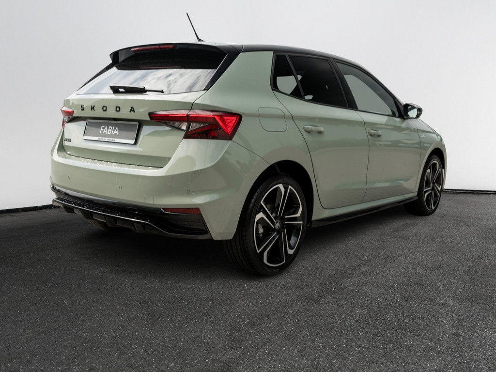 Bild 6 - Fabia Monte Carlo 1.5 TSI DSG Navi Virtual ACC