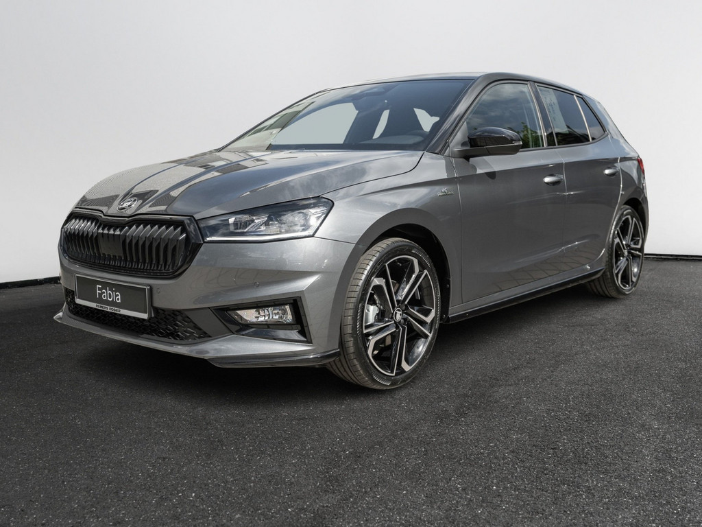 Bild 3 - Fabia Monte Carlo 1.0 TSI DSG Kam. Navi ACC