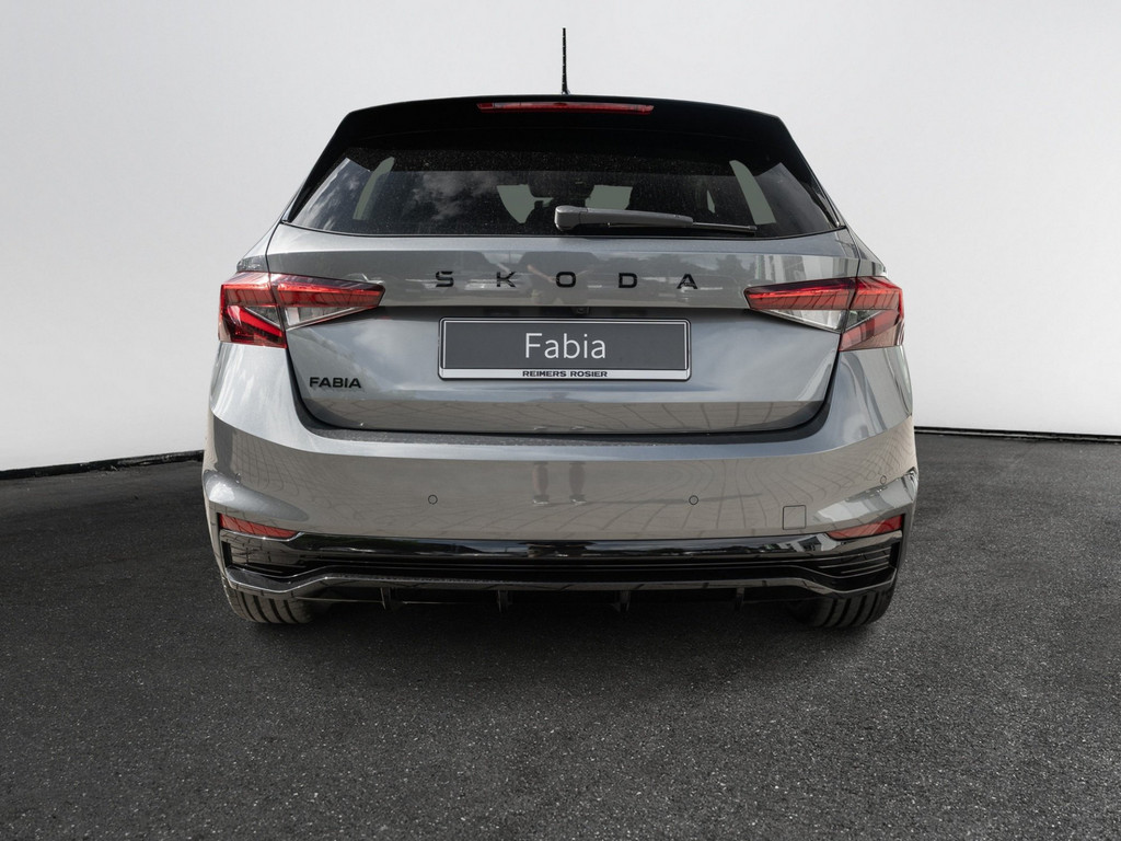 Bild 7 - Fabia Monte Carlo 1.0 TSI DSG Kam. Navi ACC