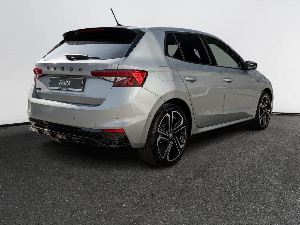 Bild 6 - Fabia Monte Carlo 1.5 TSI DSG Kam. LM