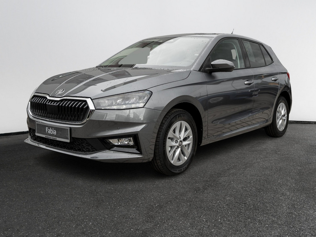 Bild 3 - Fabia Selection 1.0 TSI KlimaA SHZ AHK LM
