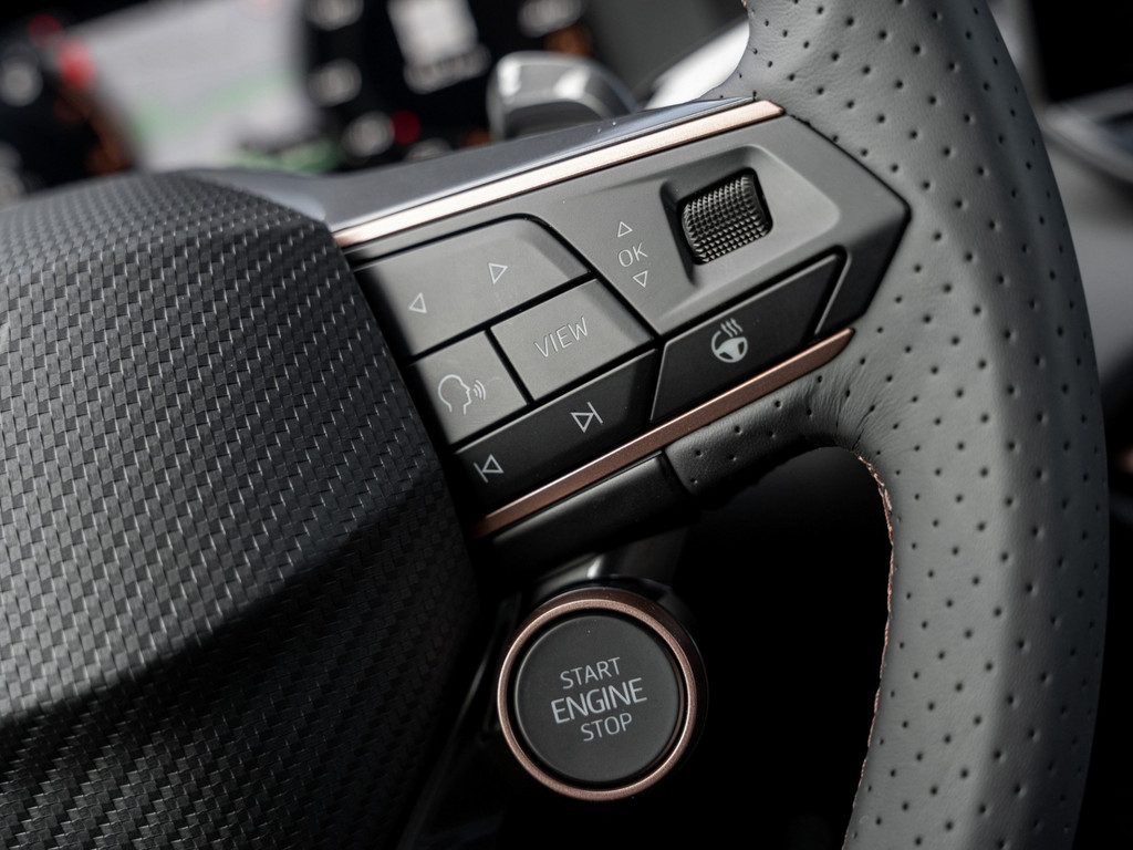 Bild 26 - Terramar 2.0 TSI 4Drive W VZ DCC AHK Kam. Navi