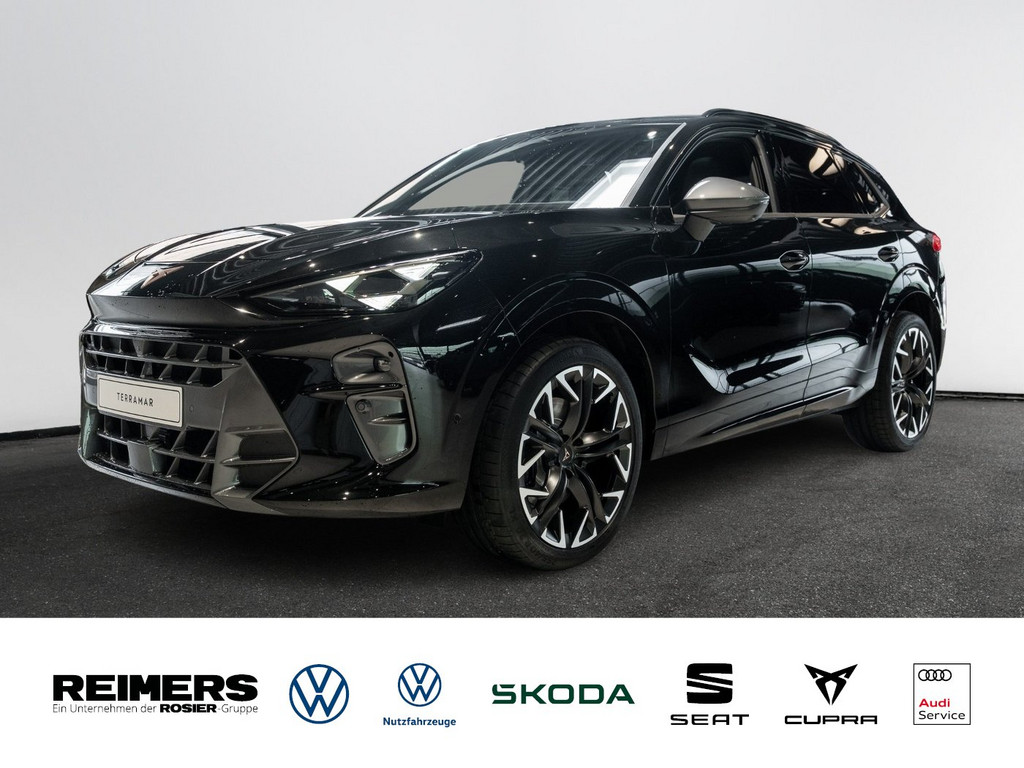 Bild 1 - Terramar 2.0 TSI 4Drive W VZ DCC AHK Kam. Navi