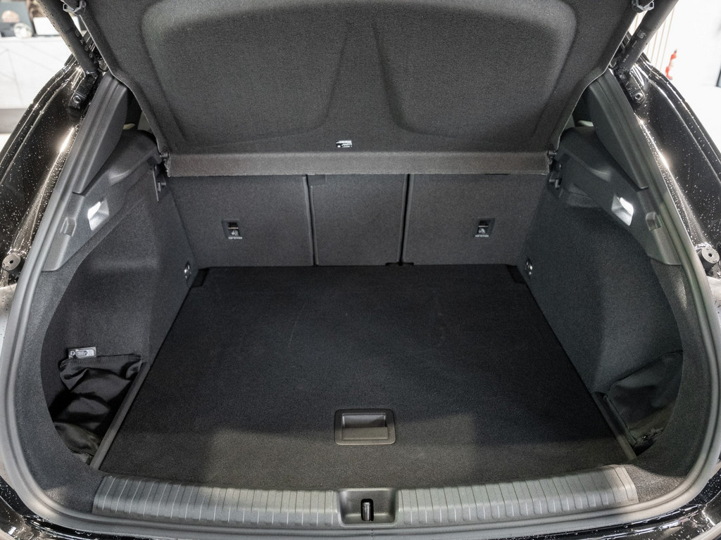 Bild 27 - Terramar 2.0 TSI 4Drive W VZ DCC AHK Kam. Navi