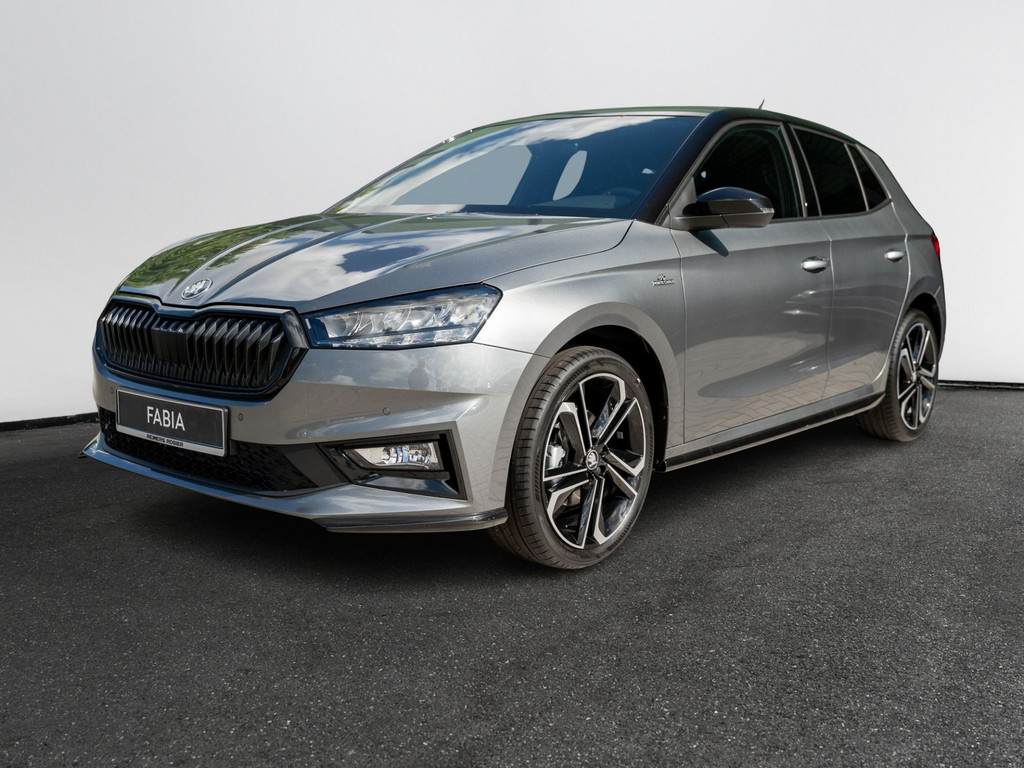 Bild 3 - Fabia Monte Carlo 1.0 TSI DSG Navi Virtual ACC