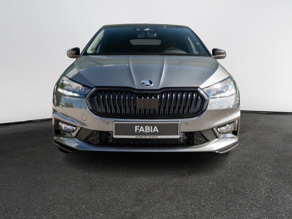 Bild 4 - Fabia Monte Carlo 1.0 TSI DSG Navi Virtual ACC
