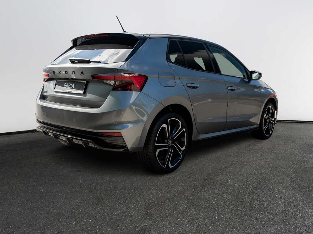 Bild 6 - Fabia Monte Carlo 1.0 TSI DSG Navi Virtual ACC