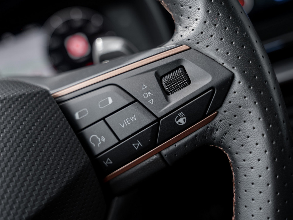 Bild 22 - FORMENTOR 1.5 TSI DSG AHK Kam. Navi Pano Sportp.