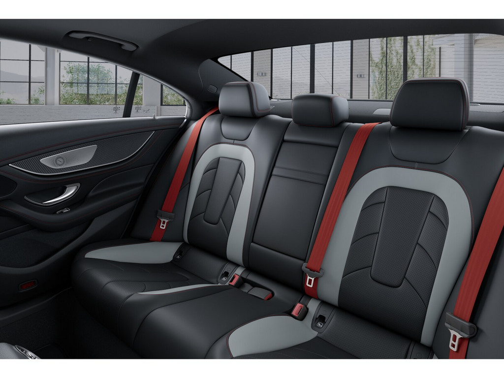 Bild 11 - CLS 53 AMG 4M + Dyn + Vmax