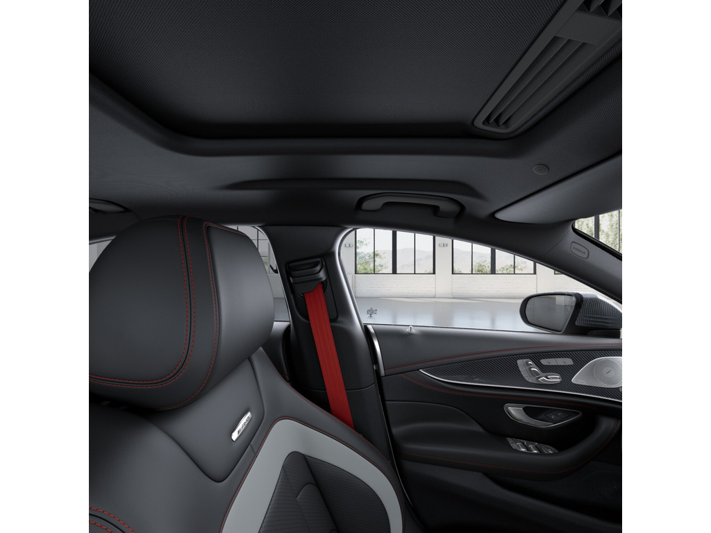 Bild 17 - CLS 53 AMG 4M + Dyn + Vmax
