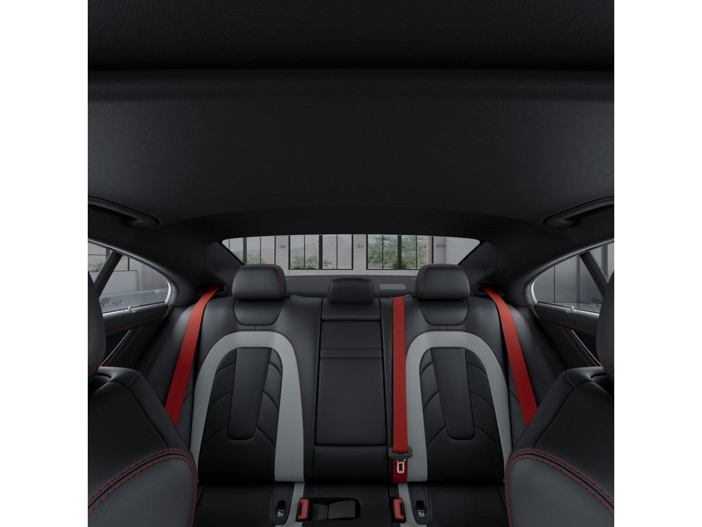Bild 18 - CLS 53 AMG 4M + Dyn + Vmax
