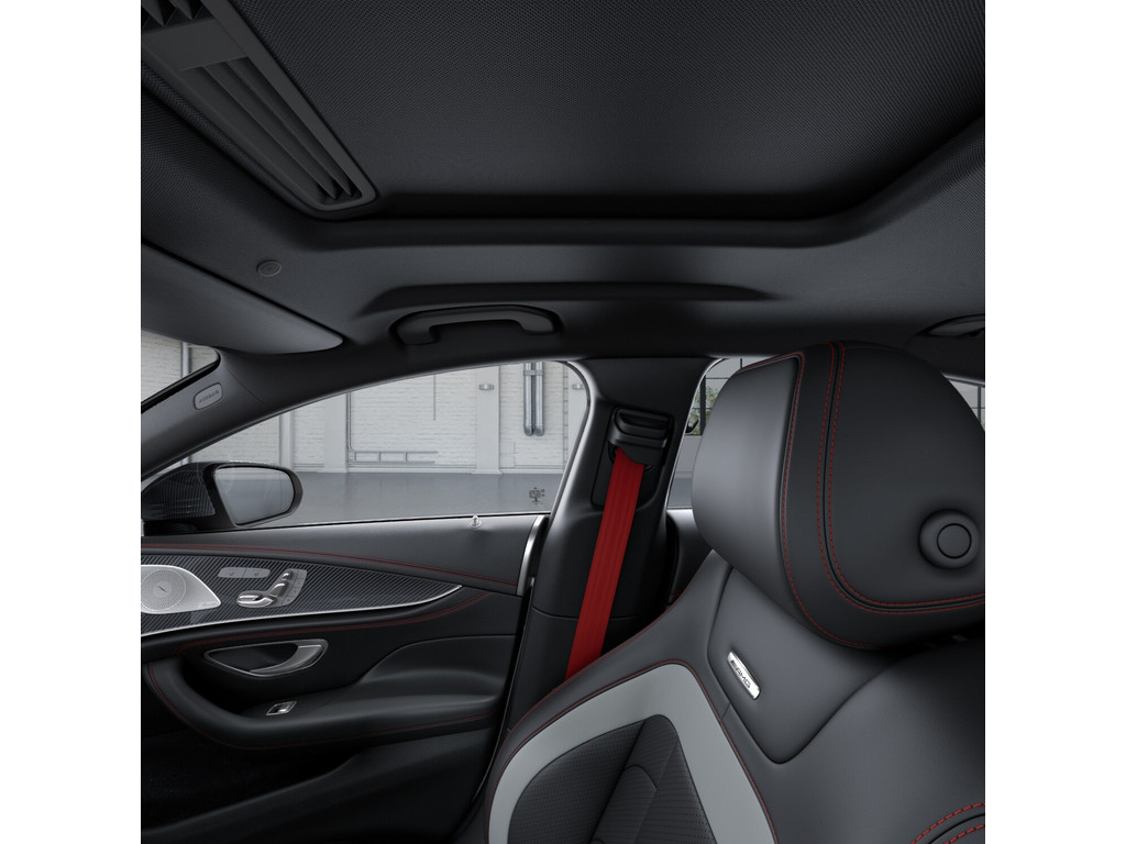 Bild 19 - CLS 53 AMG 4M + Dyn + Vmax