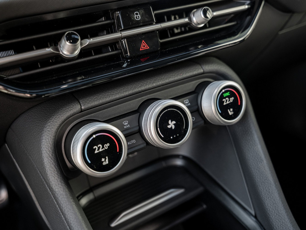 Bild 22 - Kodiaq RS 2.0 TSI DSG 4x4 DCC AHK Leder Navi 360