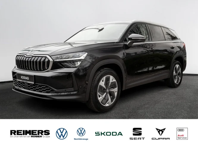 Details zum Fahrzeug: SKODA Kodiaq Selection 2.0 TDI DSG 4x4 DCC AHK Leder