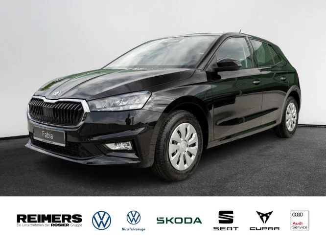 Details zum Fahrzeug: SKODA Fabia Selection 1.0 TSI KlimaA SHZ
