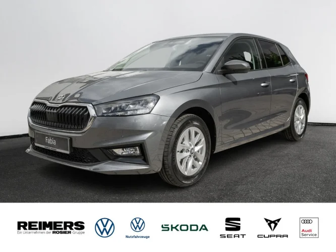 Details zum Fahrzeug: SKODA Fabia Selection 1.0 TSI DSG AHK ACC KlimaA