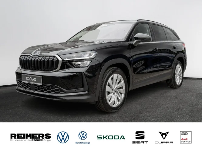 Details zum Fahrzeug: SKODA Kodiaq Selection 2.0 TDI DSG 4x4 AHK Kam. Leder